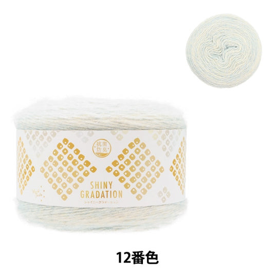 秋冬纱线 “抗菌和除臭剂闪亮渐变第12颜色”世界Festa世界Festa