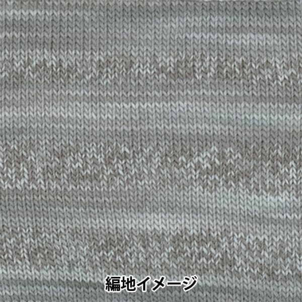 秋冬纱线 “化妆100 1022颜色” Olympus