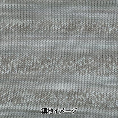 秋冬纱线 “化妆100 1022颜色” Olympus