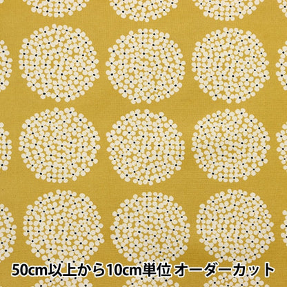 [From quantity 5] Fabric "10th canvas laminate hydrangea yellow R-UP5553-H" COTTON KOBAYASHI