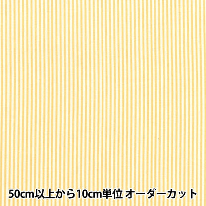 [From quantity 5] Fabric 『Poplin Homy Collection Stripe Pattern DH13196S-C]