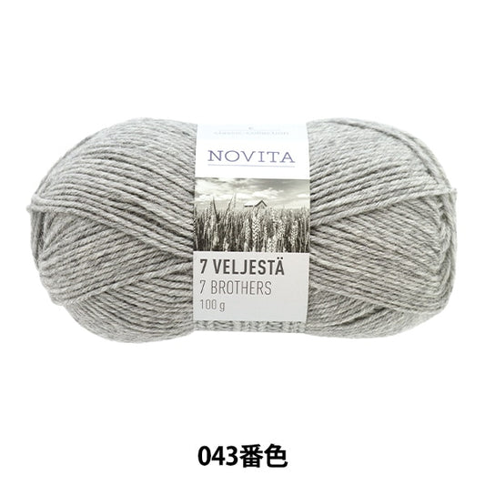 秋冬纱线 “ 7 Brothers 043彩色中等灰色” Novita Novita