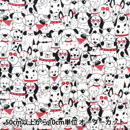 [From quantity 5] Fabric "USA Cotton Happy Houng CX10626-WHITE"