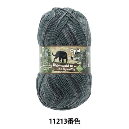 袜子纱线 纱线 “ Reugenwalt 18 6ply 11213 No. opal蛋白石