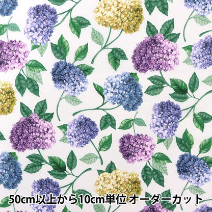 [来自数量5] 织物 “ Liberty Fabric Liyosel草坪布 萨福克奖DC30104-D] Liberty Japan