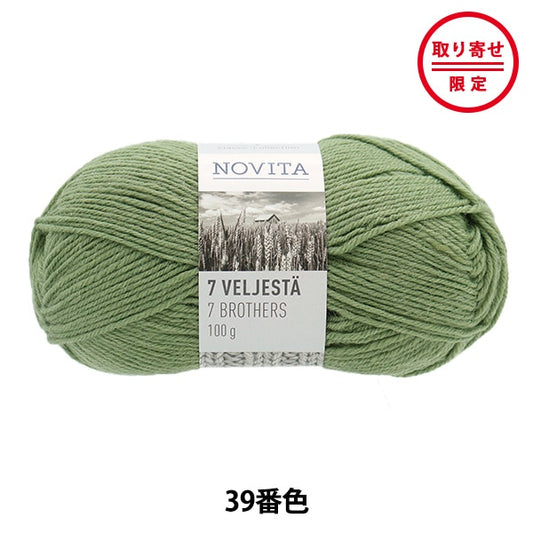秋冬纱线 “ 7兄弟039彩色稻草” Novita Novita