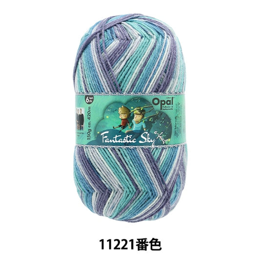 襪子紗 紗線 “ fantastics kai 6ply 11221顏色”蛋白石蛋白石
