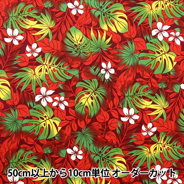 [來自數量5] 織物 “ Broad Hawaii Amplint Monster Red 204-A”