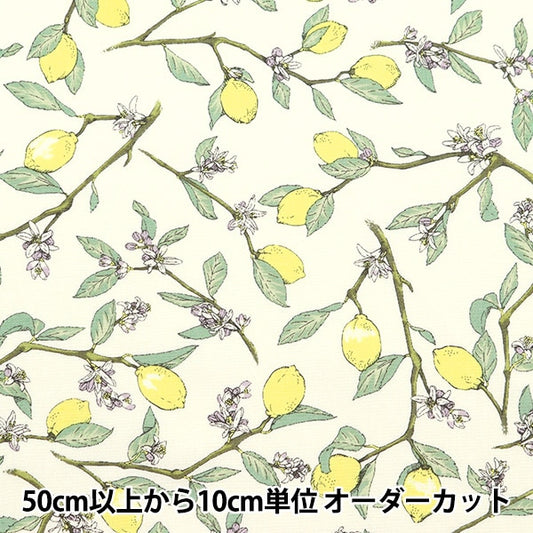 [来自数量5] 织物 “柠檬白色，宽阔的分支KTS6951-A” COTTON KOBAYASHI