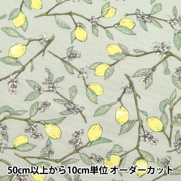 [From quantity 5] Fabric "Lemon gray with broad branches KTS6951-C" COTTON KOBAYASHI