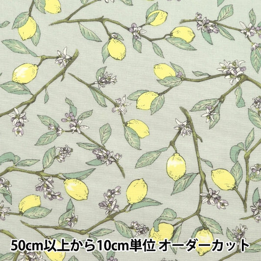 [来自数量5] 织物 “柠檬灰色，宽阔的树枝KTS6951-C” COTTON KOBAYASHI