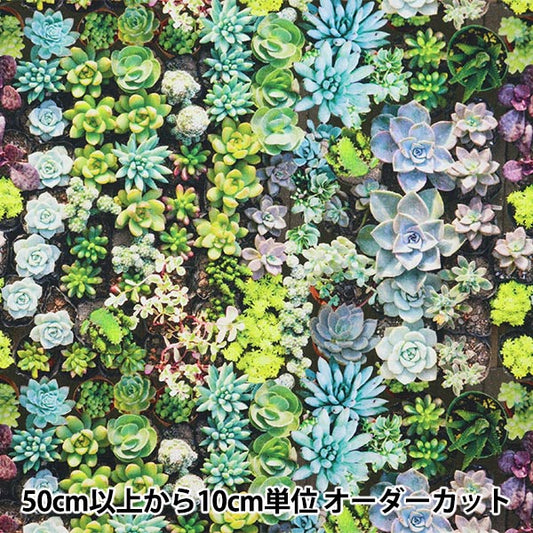 [From quantity 5] Fabric "Inkjet Print Garden AP8010-2"