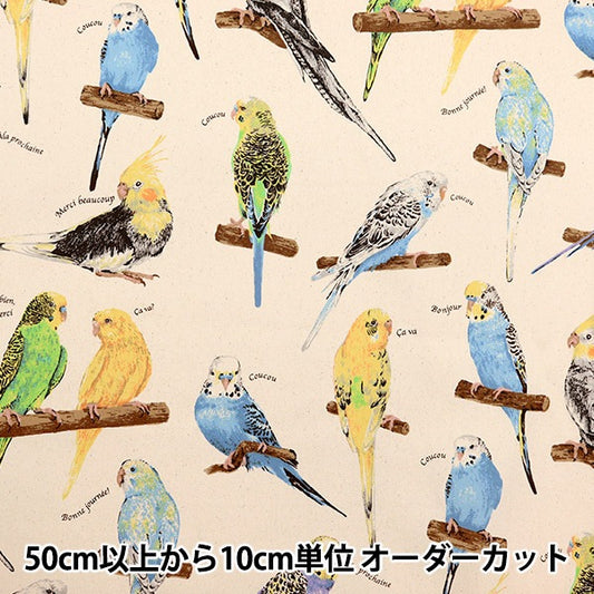 [From quantity 5] Fabric "Twill print parakeet generation KTS6954-A" COTTON KOBAYASHI