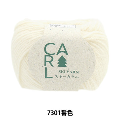 秋冬纱线 “滑雪CARAL 7301颜色”滑雪滑雪纱