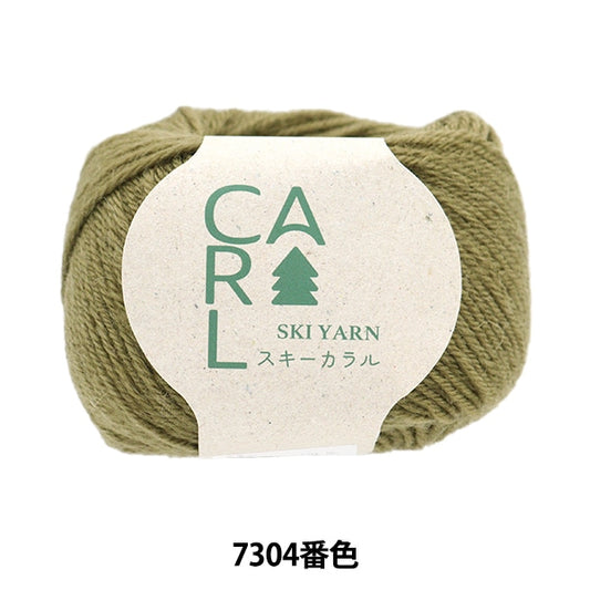 秋冬纱线 “滑雪Caral 7304颜色”滑雪滑雪纱