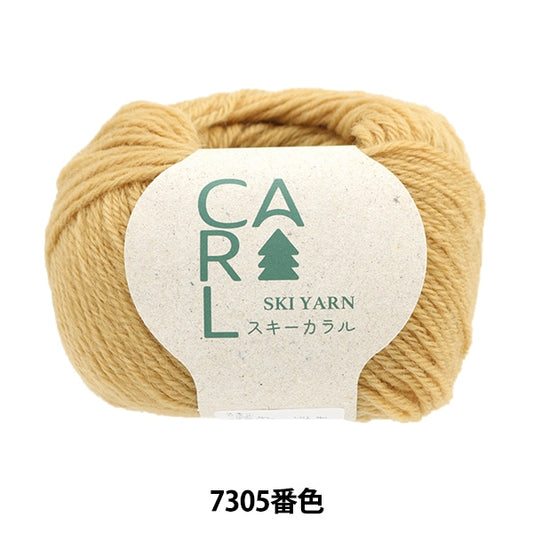 秋冬纱线 “滑雪Caral 7305颜色”滑雪滑雪纱