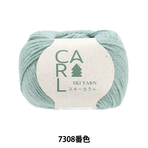 秋冬纱线 “滑雪Caral 7308颜色”滑雪滑雪纱