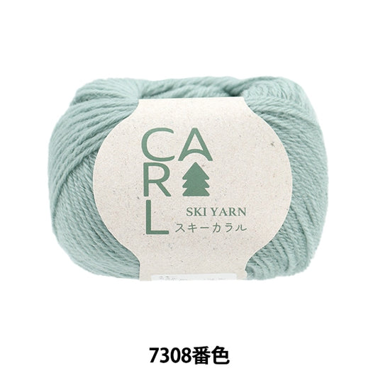 秋冬纱线 “滑雪Caral 7308颜色”滑雪滑雪纱