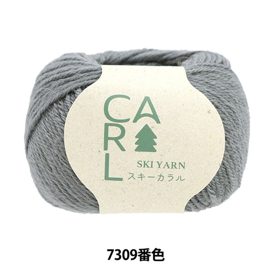 秋冬纱线 “滑雪Caral 7309颜色”滑雪滑雪纱
