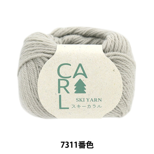 秋冬纱线 “滑雪Caral 7311颜色”滑雪滑雪纱