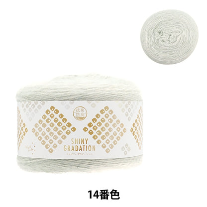 秋冬纱线 “抗菌和除臭剂闪亮渐变14th绿色”世界Festa Festa