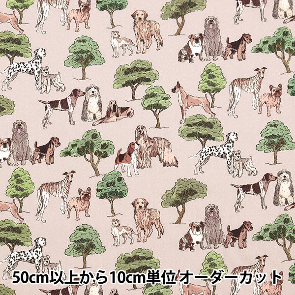 [From quantity 5] Fabric "Liberty Fabric Tana lawn Hyde Park Houng 363J7301-C] Liberty Japan