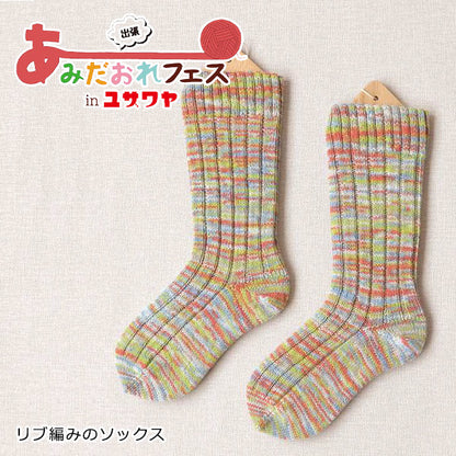 编织套件“里贝袜子暖色H167-230-208” Hamanaka