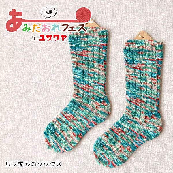 编织套件“肋条袜子冷颜色H167-230-208” Hamanaka