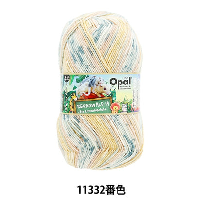 袜子纱线 纱线 “ Legen Valdo 19 4ply 11332颜色”蛋白石蛋白石