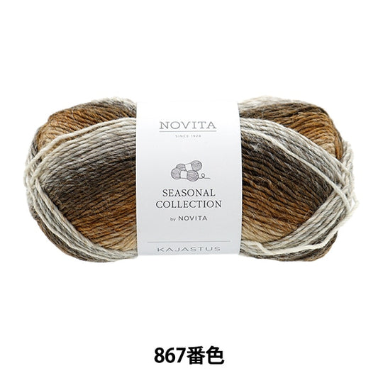 秋冬纱线 “ Novita Kajastus 867 Color Small Pier” Novita Novita