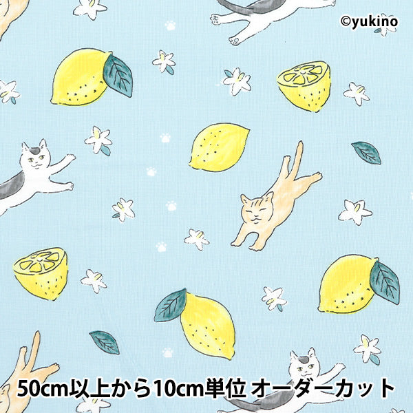 [From quantity 5] Fabric 『Sheeting Cat Lemon Blue DEYT-CALE-BL]