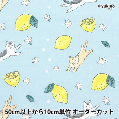 [From quantity 5] Fabric 『Sheeting Cat Lemon Blue DEYT-CALE-BL]