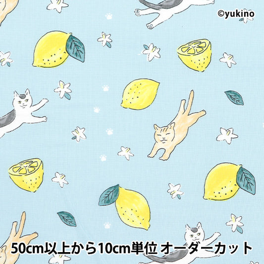 [From quantity 5] Fabric 『Sheeting Cat Lemon Blue DEYT-CALE-BL]