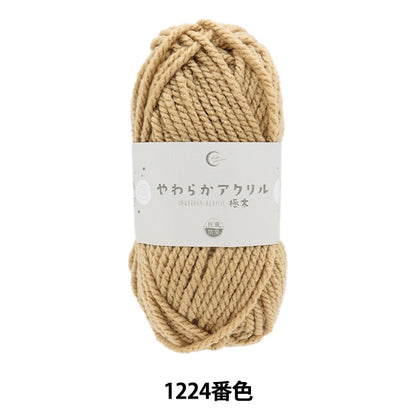 Yarn "Antibacterial Soft Acrylic Fight 1224 Color Mocha"