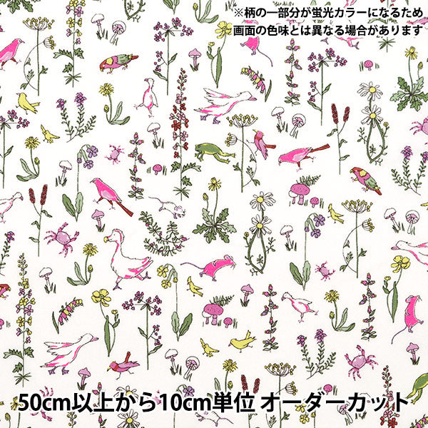 [来自数量5] 织物 “自由织物霓虹色 塔纳草坪 Sonaon DC33635-J24A] Liberty Japan