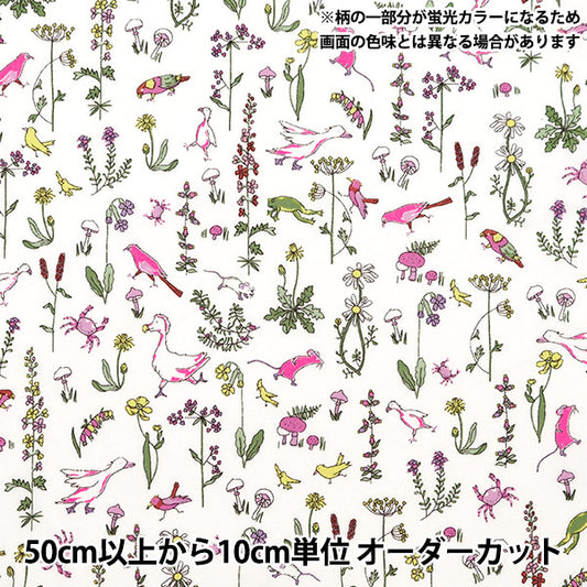 [来自数量5] 织物 “自由织物霓虹色 塔纳草坪 Sonaon DC33635-J24A] Liberty Japan