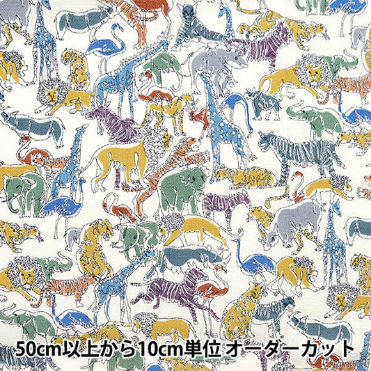 [来自数量5] 织物 “自由结构 牛津布 Safari 133％扩展了Multi 3639230LJ24C] [Yuzawaya原来的】