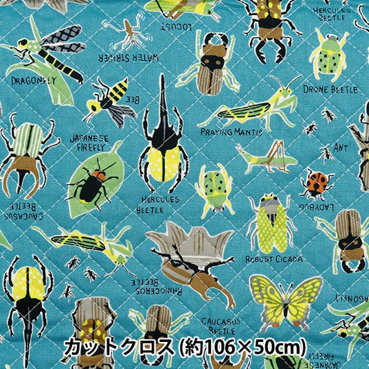 Fabric 『OxfordQuiltcarefle canvas insect picture book Cut Cloth Approximately 106 x 50cm Turquoise CQ -inc-TA " KOKKA