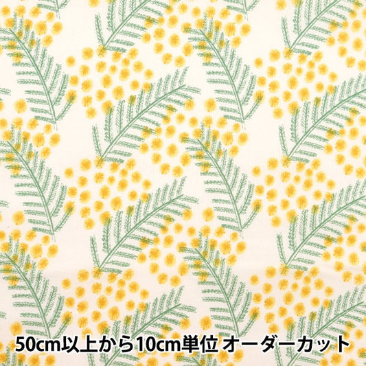 [来自数量5] 织物 “ Kippis（Kippis） 板材织物 Mimosakinari KPS-80A]