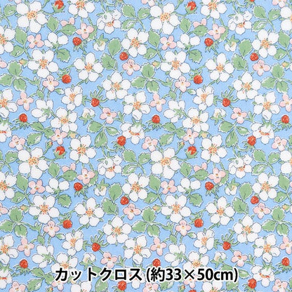 Fabric "Liberty Fabric LaminatedCut Cloth Approximately 33 × 50cm Payzan Nublosum CR363412124BU ”Liberty Japan