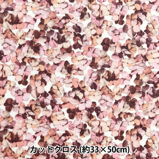 Fabric "Liberty Fabric LaminatedCut Cloth Approximately 33 x 50cm Hillaryan CR363413724BU] Liberty Japan