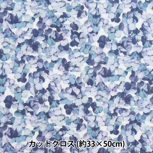 Fabric "Liberty Fabric LaminatedCut Cloth Approximately 33 x 50cm Hillaryan CR363413724CU] Liberty Japan