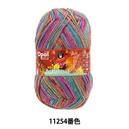 袜子纱线 纱线 “ Lauku Full Star 4ply 11254颜色”蛋白石蛋白石