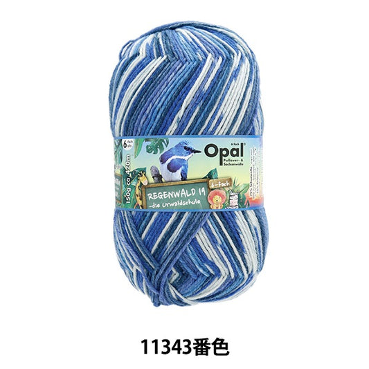 袜子纱线 纱线 “ Reugenwalt 19 6ply 11343颜色”蛋白石蛋白石