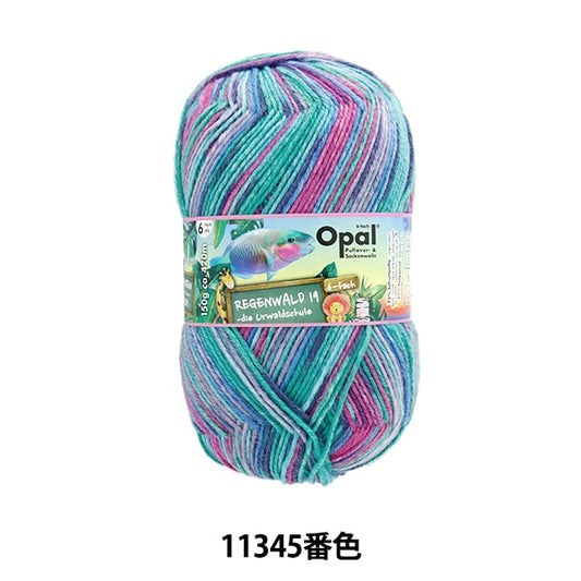 袜子纱线 纱线 “ Reugenwalt 19 6ply 11345 No. opal蛋白石