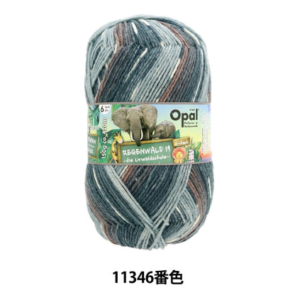 袜子纱线 纱线 “ Reugenwalt 19 6ply 11346 No. opal蛋白石