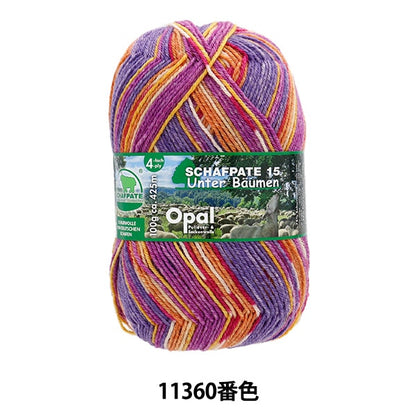 袜子纱线 纱线 “ Sharf Partary 15 4ply 11360颜色”蛋白石蛋白石