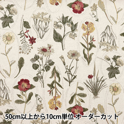 [From quantity 5] Fabric "Cotton hemp canvas botanical picture book Pink Wine Red CLPLEN-PKRE"