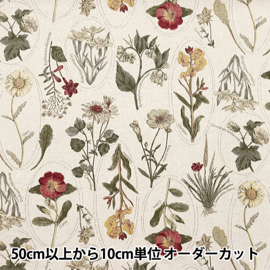 [From quantity 5] Fabric "Cotton hemp canvas botanical picture book Pink Wine Red CLPLEN-PKRE"