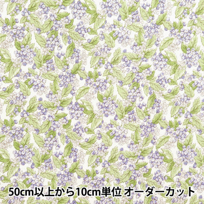 [来自数量5] 织物 “ Takashima Chijimi Real Purple 205041-4”